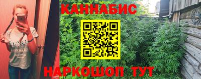 ГАЛЛЮЦИНОГЕННЫЕ ГРИБЫ Славгород